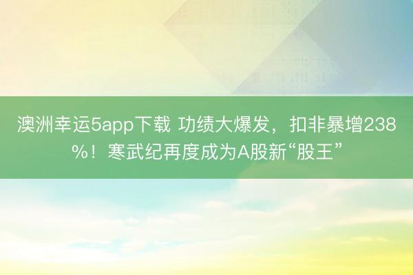 澳洲幸运5app下载 功绩大爆发，扣非暴增238%！寒武纪再度成为A股新“股王”